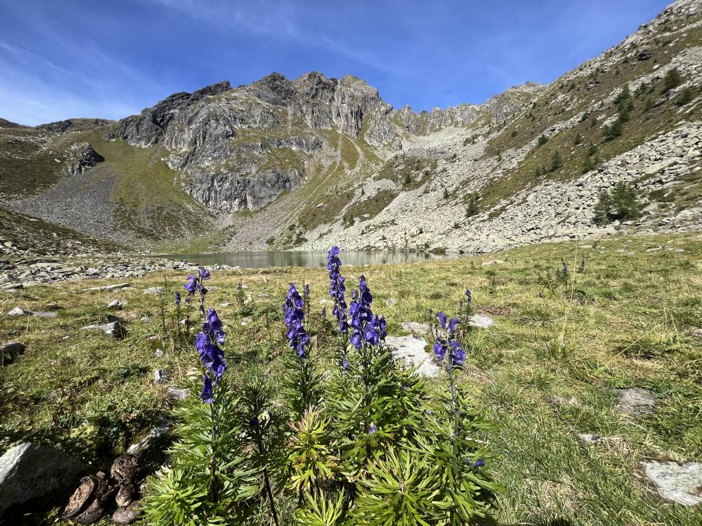 Laghi.......del TRENTINO